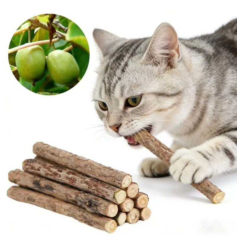 5Pack Silvervine Sticks for Cats,Natural Matatabi Chew Sticks,Cat Teething Toy,Kitten Dental Cleaning Stress Relief Pet Supplies