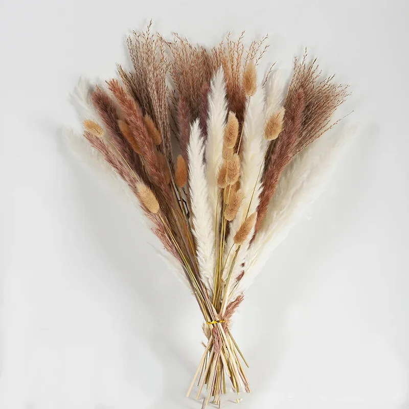 Natural Bunny Rabbit Tail Pampa Grass Wedding Decor Dried Flowers Pampas Lagurus Ovatus Bouquet Boho Home Vase Decoration