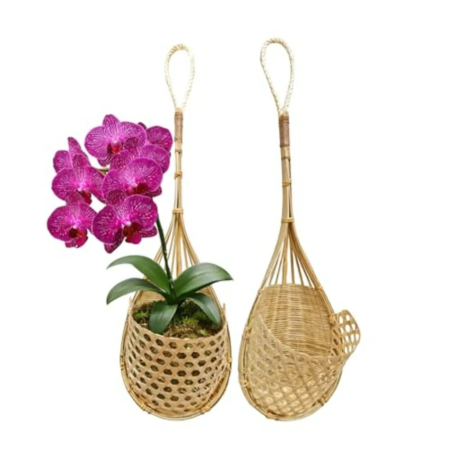 

Hanging basket for orchids, natural light bamboo, beige, eco-friendly and breathable design, 6-inch diameter, set of 2