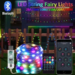 USB RGBIC LED Smart Fairy Lights APP Control Bluetooth String Light Waterproof Music PVC Wire DIY Birthday Party Christmas Tree