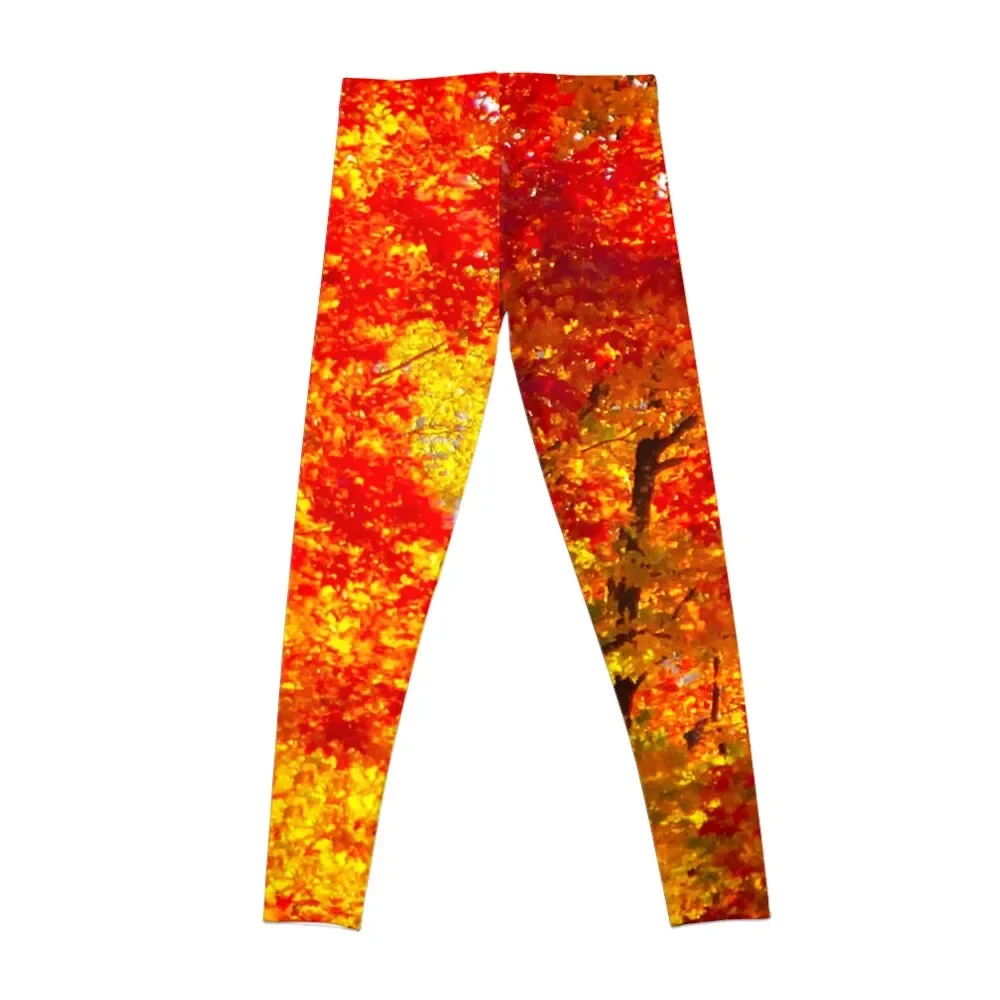 Orange Maple Tree Photography Yellow Trees Autumn Woods Fall Leggings Sports female workout clothes for Womens Leggings