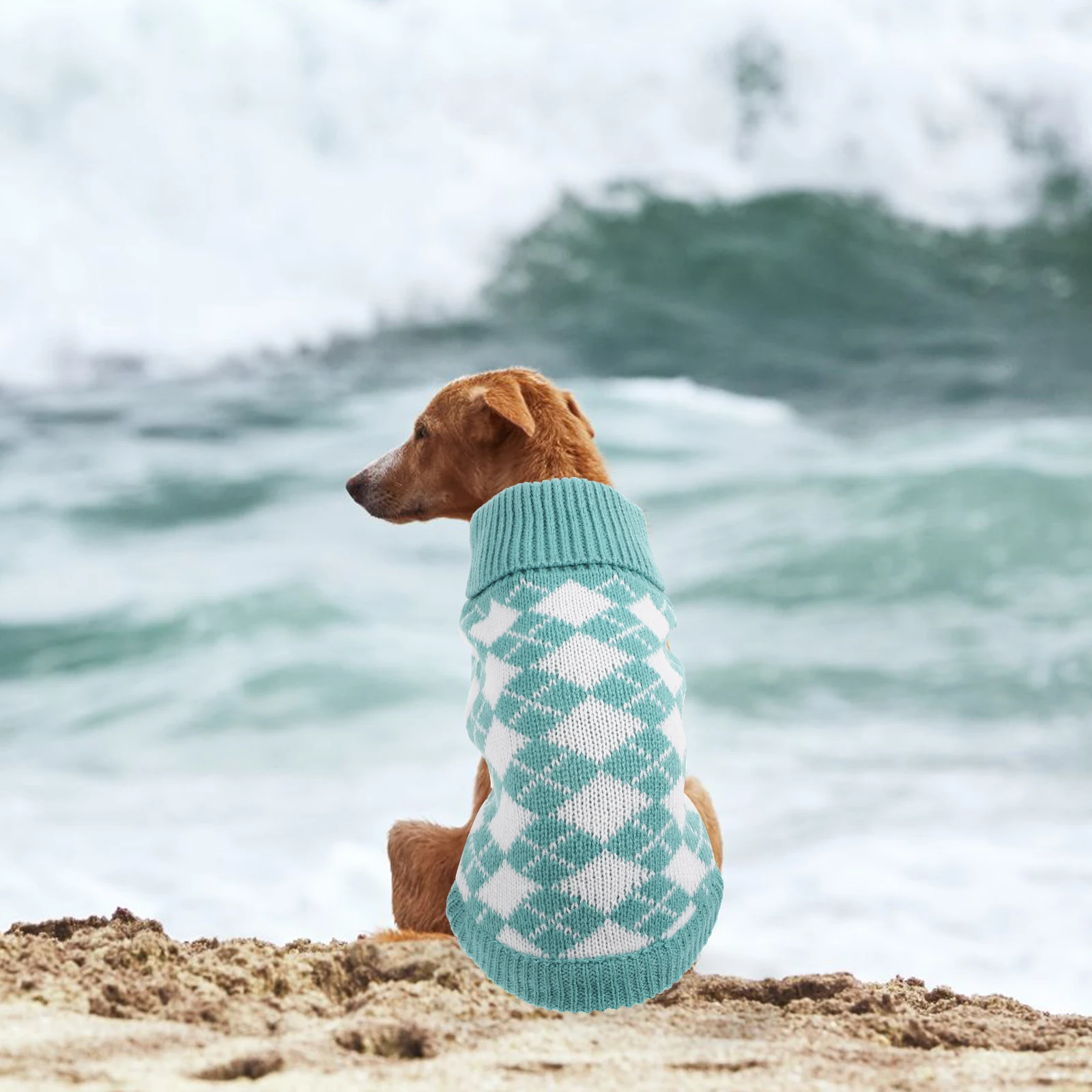 

Dog Sweater Clothes Warm Outfit Turtleneck Green Color Comfortable Soft Material Autumn Lovely Dog Costume Winter