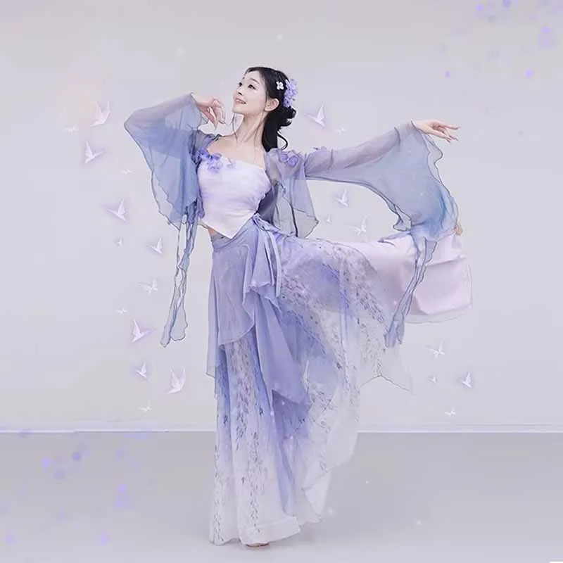 

Classical dancer performance costumes chiffon cardigan practice dance clothes body rhyme long outer Chinese style folk dance