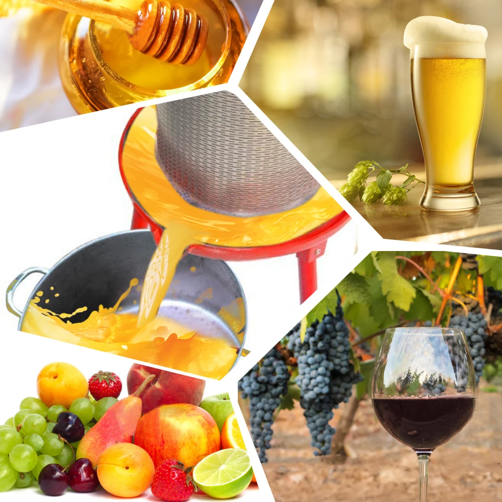 Ręczna sokowirówka Hydrauliczna prasa do wina owocowego Ręczna prasa do wyciskania owoców ze stali nierdzewnej do wyciskania wina i cydru