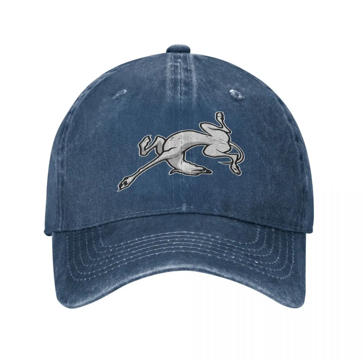 The Sighthound Standard Cap Cowboy Hat rave Anime hat Man cap Women's