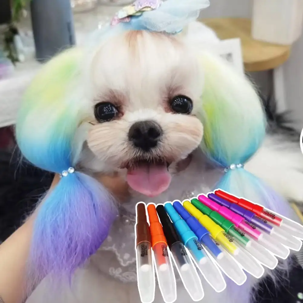 10Pcs Pet Dye Stick Dog Hair Agent Healthy Pet Hair Chalk Painting Pen Puppy Pet Hair Coloring Dyes Dog Dye Powder