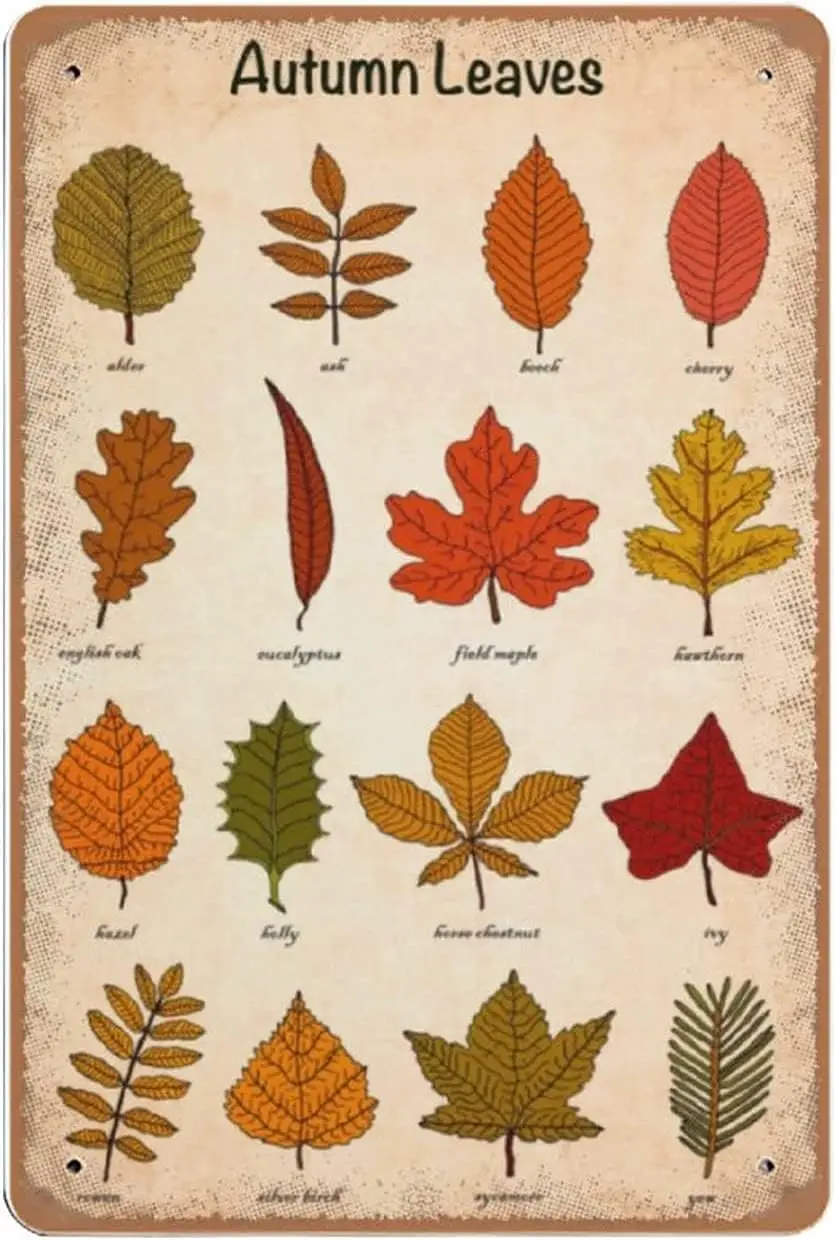 Metal Vintage Tin Sign Decor Autumn Leaves tin Sign, Autumn Leaves Knowledge tin Sign, Leaf Identification Chart Tin Sign P sign