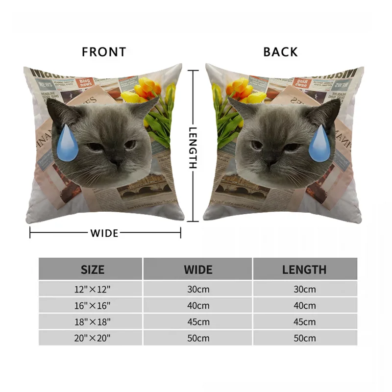 Decorative Pillowcase ETRO Square Cushion Cover Luxury Pillow Cover Pillow Case Sofa Car Bed Room Decor Dakimakura Wedding Gift