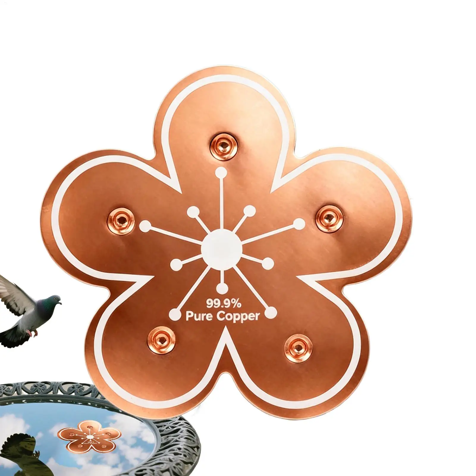 Bird Bath Purification Copper Floral Purification Panel Copper Disk Bird Bath Insert Metal Cleaner Disks Feeder Accessories