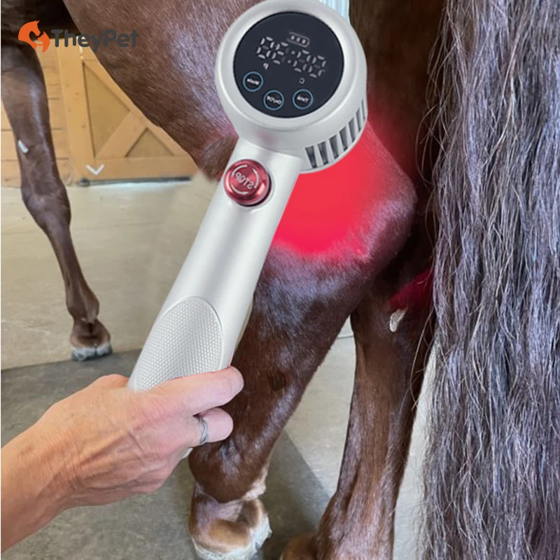 class 4 laser horse hoof tendon recovery wound healing powerful 808nm and 650nm laser for animal use