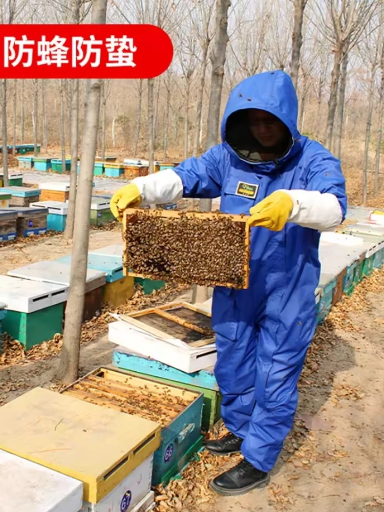Beekeeping Suit of Bees Colthes Beehive Equipment Beekeeper Costume Multifunctional Apiculture  Full Body Beekeeping Clothing