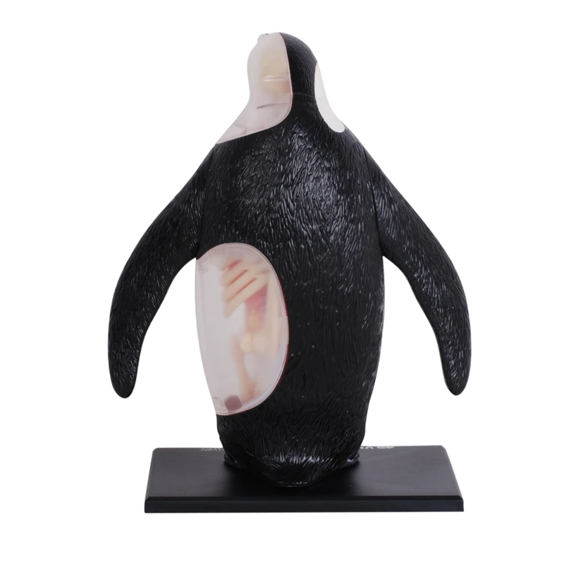 Anatomical model of visceral organs and bones of emperor penguins Animal teaching tools Assembly toy decorations