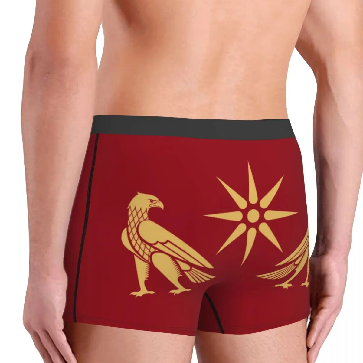 Cool Artaxiad Dynasty Flag Boxers Shorts Panties Male Underpants Breathbale Briefs Underwear