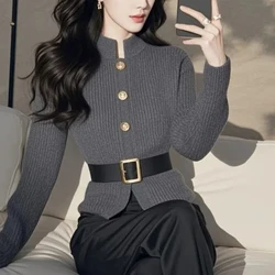 Spring Autumn Style Stand Up Collar Unique Chic Dark Gray Women's Clothing Knitted Sweater with High-end Small Fragrance Style
