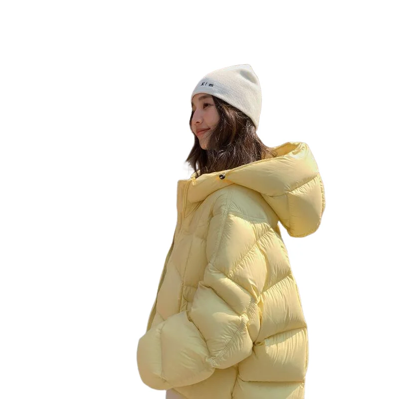 Veste rembourrée pour femme, tenue quotidienne d'extérieur, bouffante en coton, nouvelle collection hiver, polyvalente, Super beau, style court