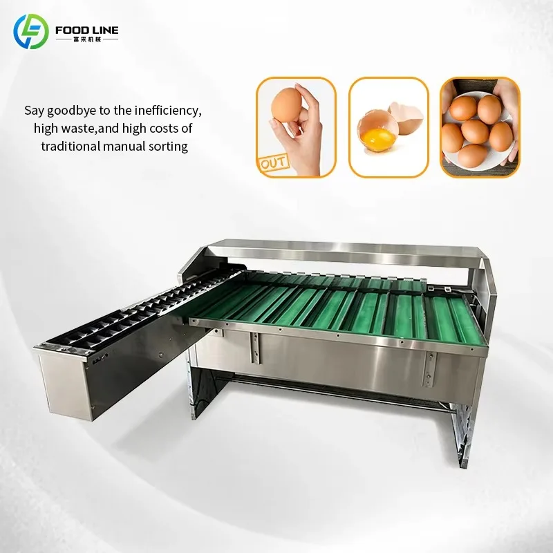 Customized Commercial Automatic Egg Cleaning Sorting Grading Machine Complete Egg Processing Production Line Equipment