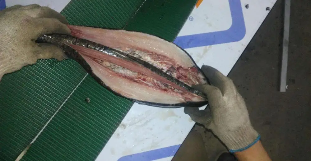 자동 어류 세척기/물고기 세척 기계/물고기 비늘 제거기 해상 운송