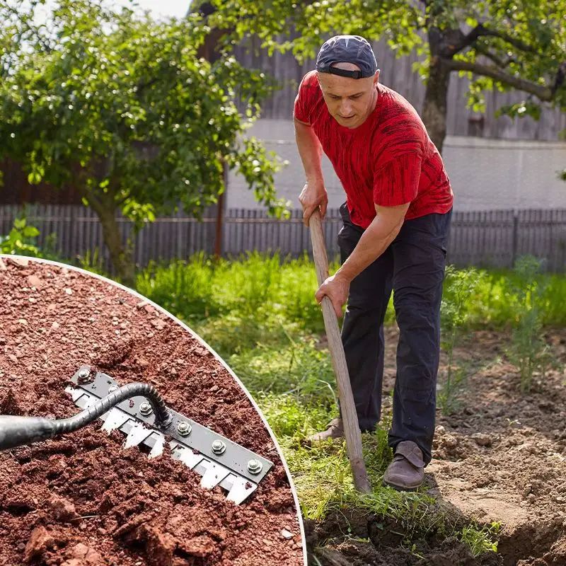 Imagem -04 - Ancinho de Ferro para Jardinagem e Capina Aço Carbono Resistente Ferramenta de Capinação de Jardim Dentes sem Bastão