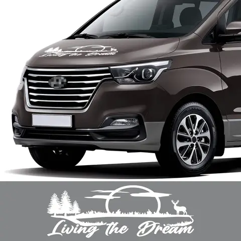 10 best sales hyundai h1 2010 - №3
