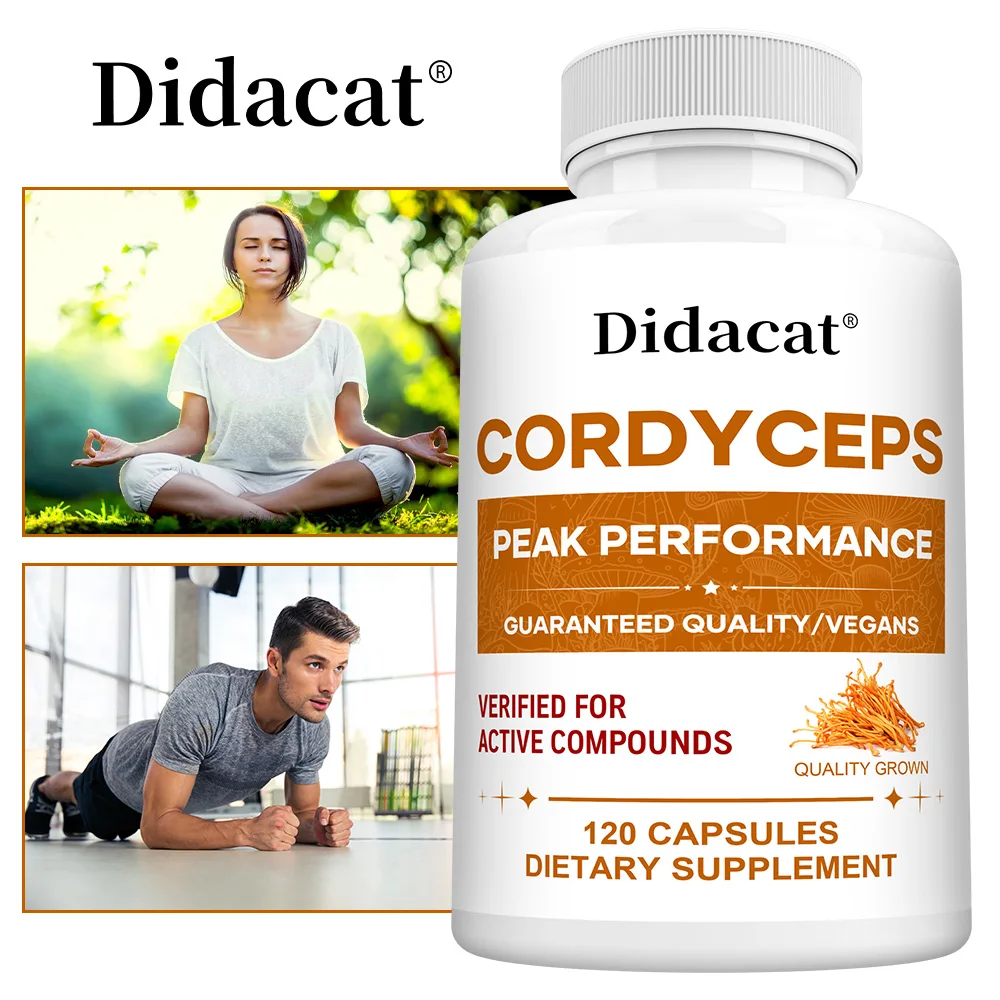 

Органические капсулы кордицепса — 1000 мг, поддержка энергии и выносливости, повышает энергию, выносливость, фокус и спортивная производительность.