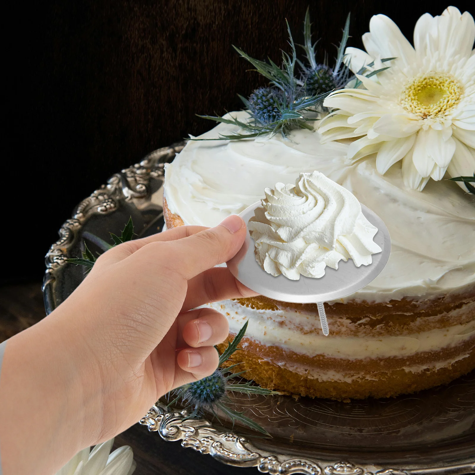 

8Pcs Cake Flower Nails Stainless Steel Piping Nozzle Set for Versatile Dessert and Cupcake Decoration Cake Flower Nail