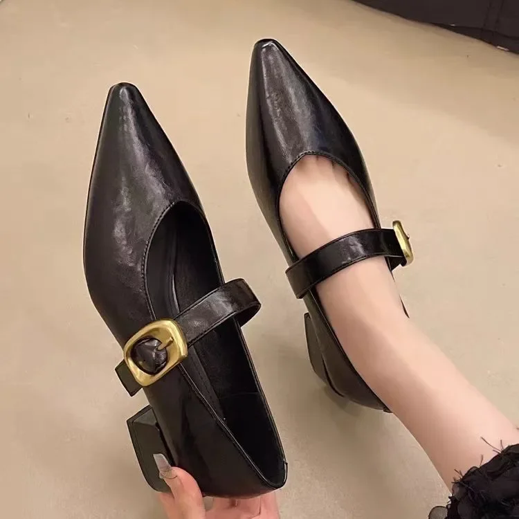 

Designer Vintage Pointed Toe Women Mary Jane Shoes Fashion Shallow Buckle Shoes Spring Ladies Elegant Dress Thick Heel Shoes