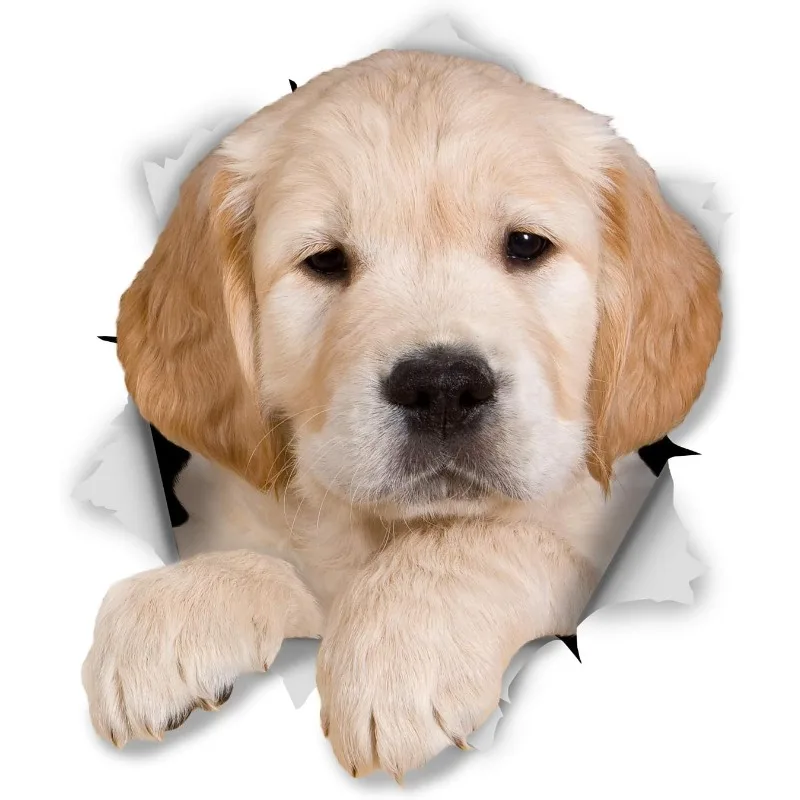 Winston & Bear 3D Dog Stickers Golden Retriever Puppy Stickers for Wall, Fridge, Toilet Retail Packaged Golden 15CM  PVC KK
