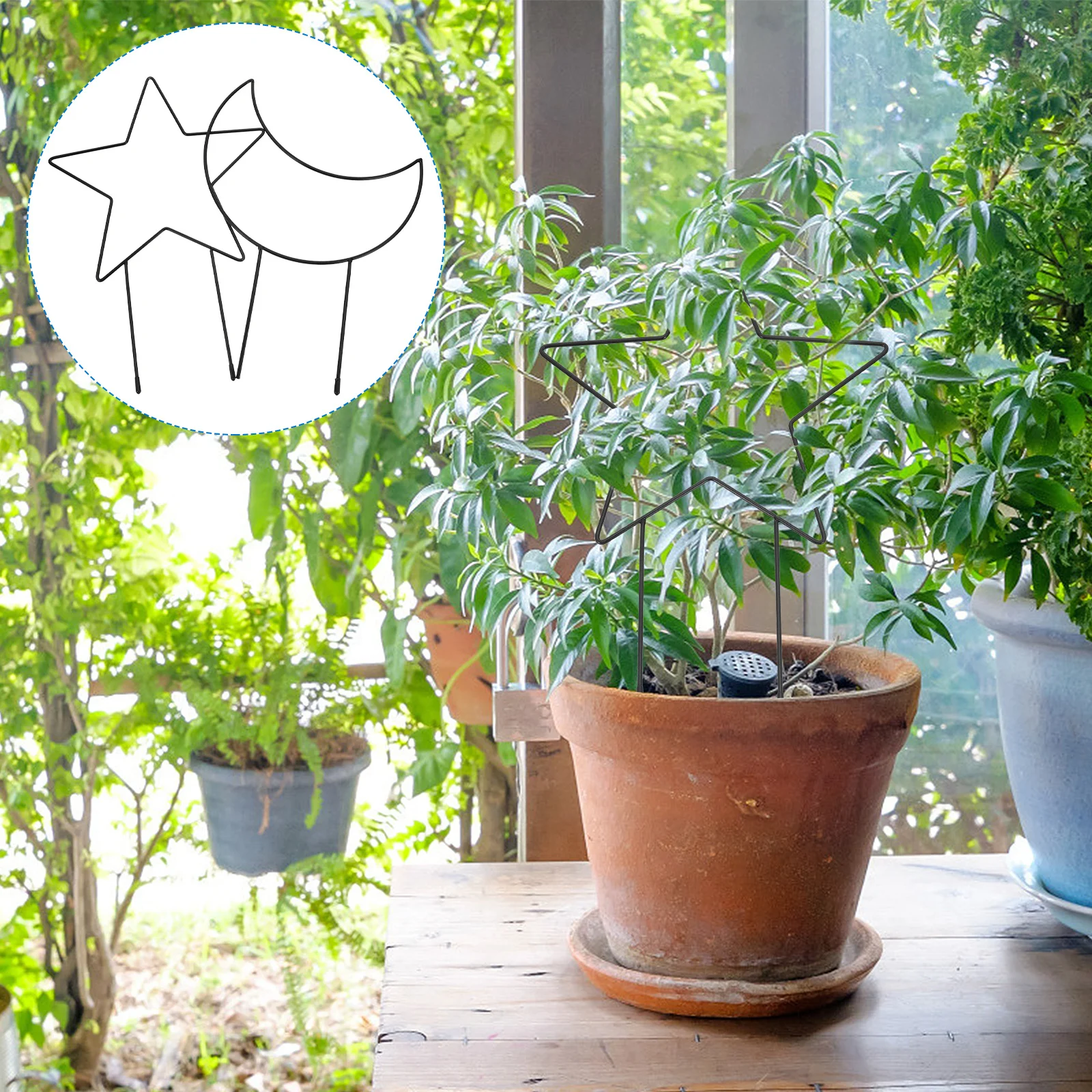 

2pcs Moon Climbing Rack Durable Reusable For Indoor Outdoor Gardening Metal Support Five-Pointed Shelf Decorative