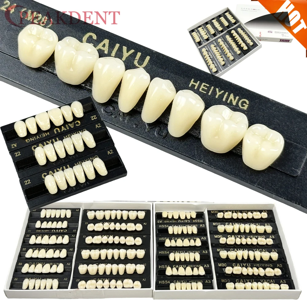 

Стоматологические акриловые смолы, вставные зубы, задние передние зубные протезы с полным ртом, 2-слойные экономичные зубы для стоматологического протеза