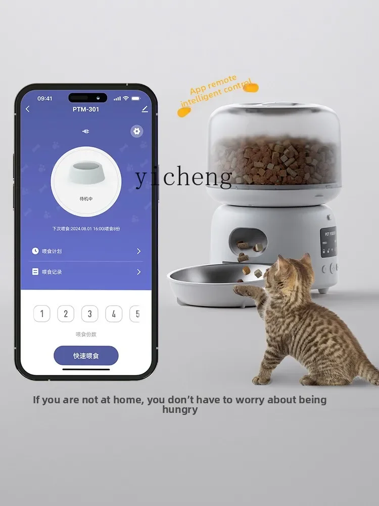 Pet Feeder Cat Dog Timed Quantitative Automatic Feeder Cat Cat Food BoxC10