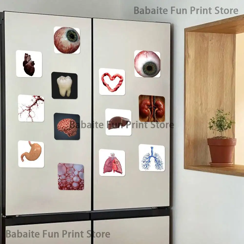 Anatomy Pathology Organs Iocn Soft Magnetic Refrigerator Magnets Personality Decorations Creative Gifts