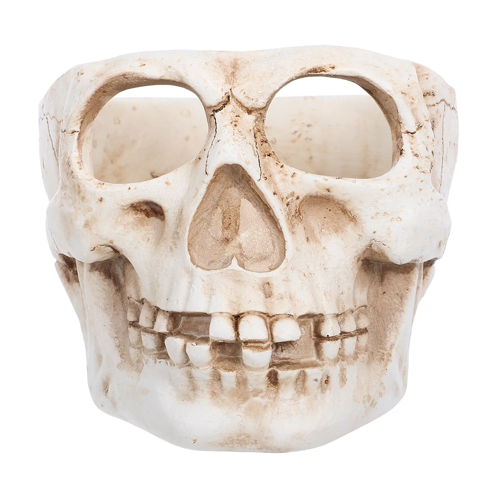 

1Pcs Skull-Shaped Resin Flower Pot Compact Stable Design Wear Resistant Perfect Home Office Restaurant Decor Skull-Shaped Pot
