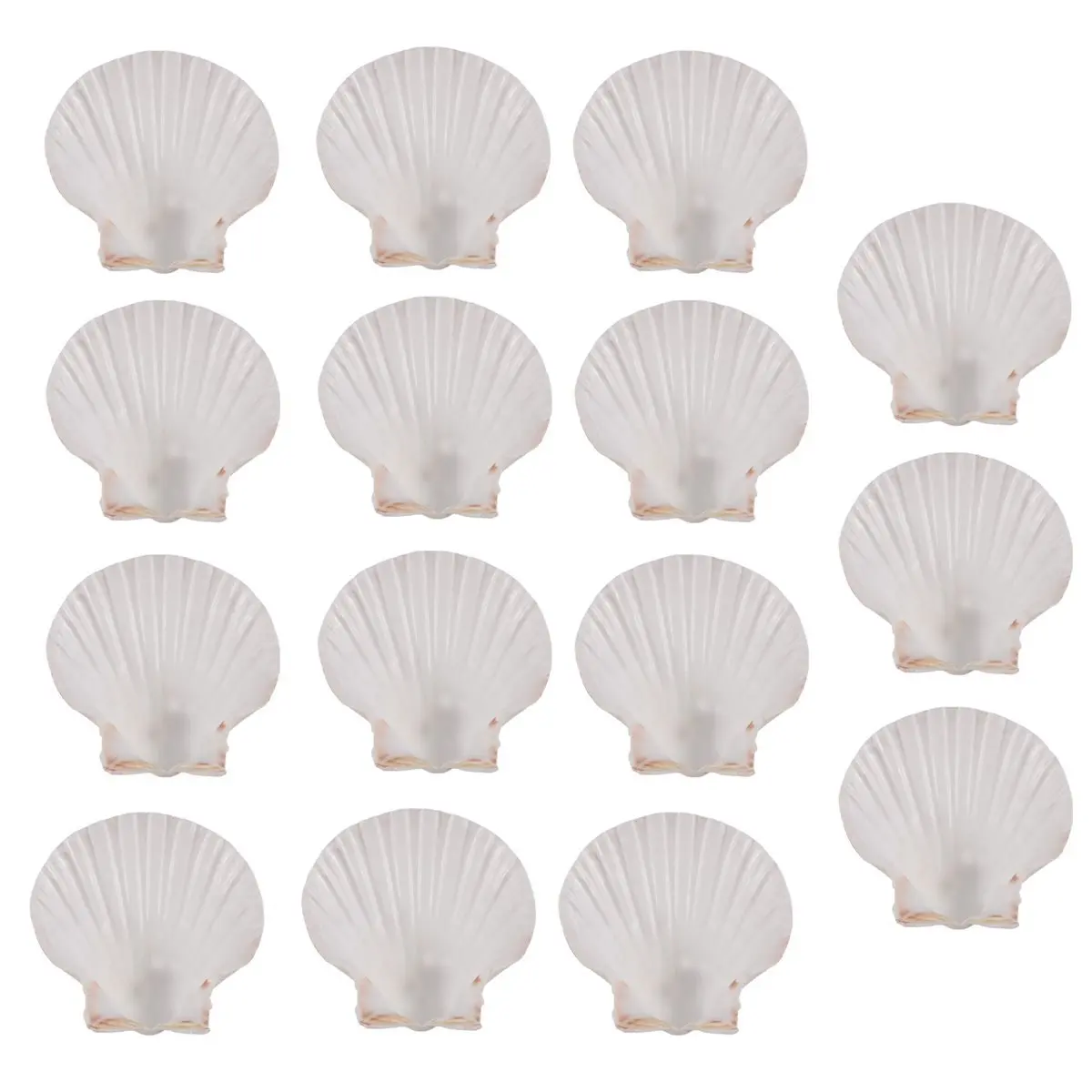 AA83 15 PCS Natural Sea Shell Large White, 4-4.7 Inch Scallop Shells for DIY Craft, Serving Food, Baking and More