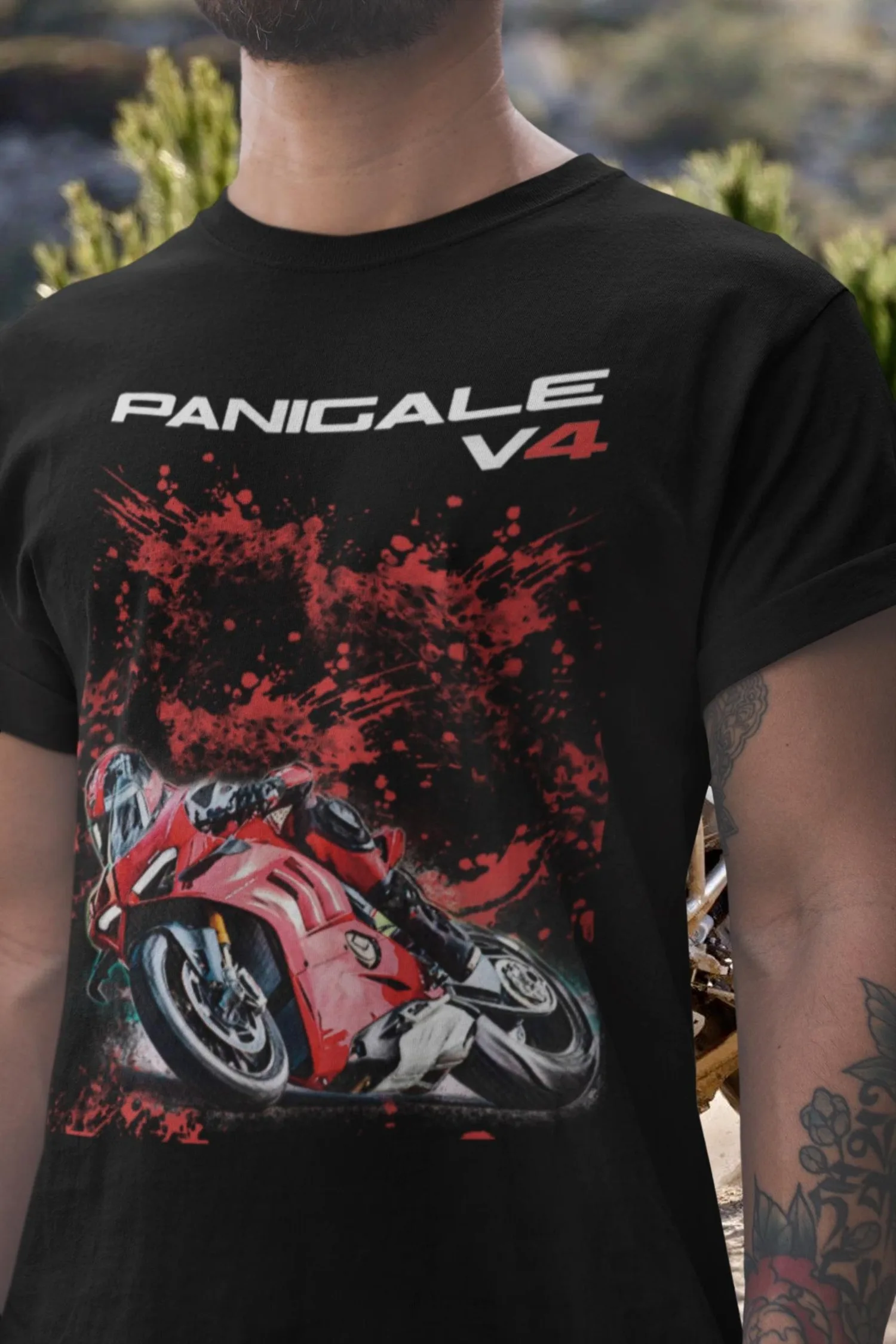 494@EY D.Ucati Pani… - image