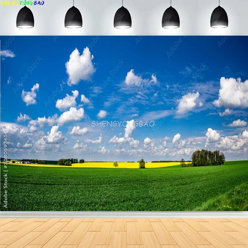 

Green Wheat Field Blue Sky Photography Backdrops Prop Pastoral Scenery Landscape Forest Blooming Rapeseed Photo Background BU-04