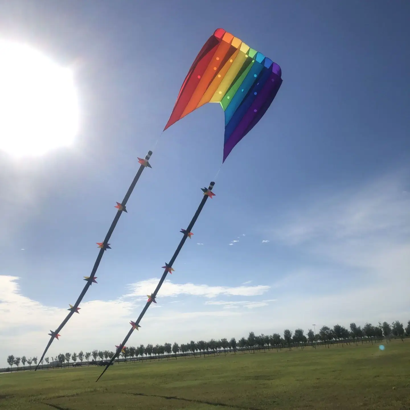 new arrival  18m kite  Long star  tube windsock kite   tail