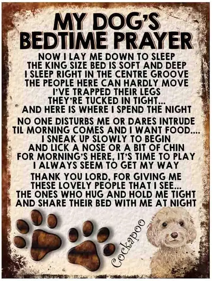 MY Dog's Bedtime Prayer Retro Style Metal TIN Sign/Plaque, Cockapoo White, 6