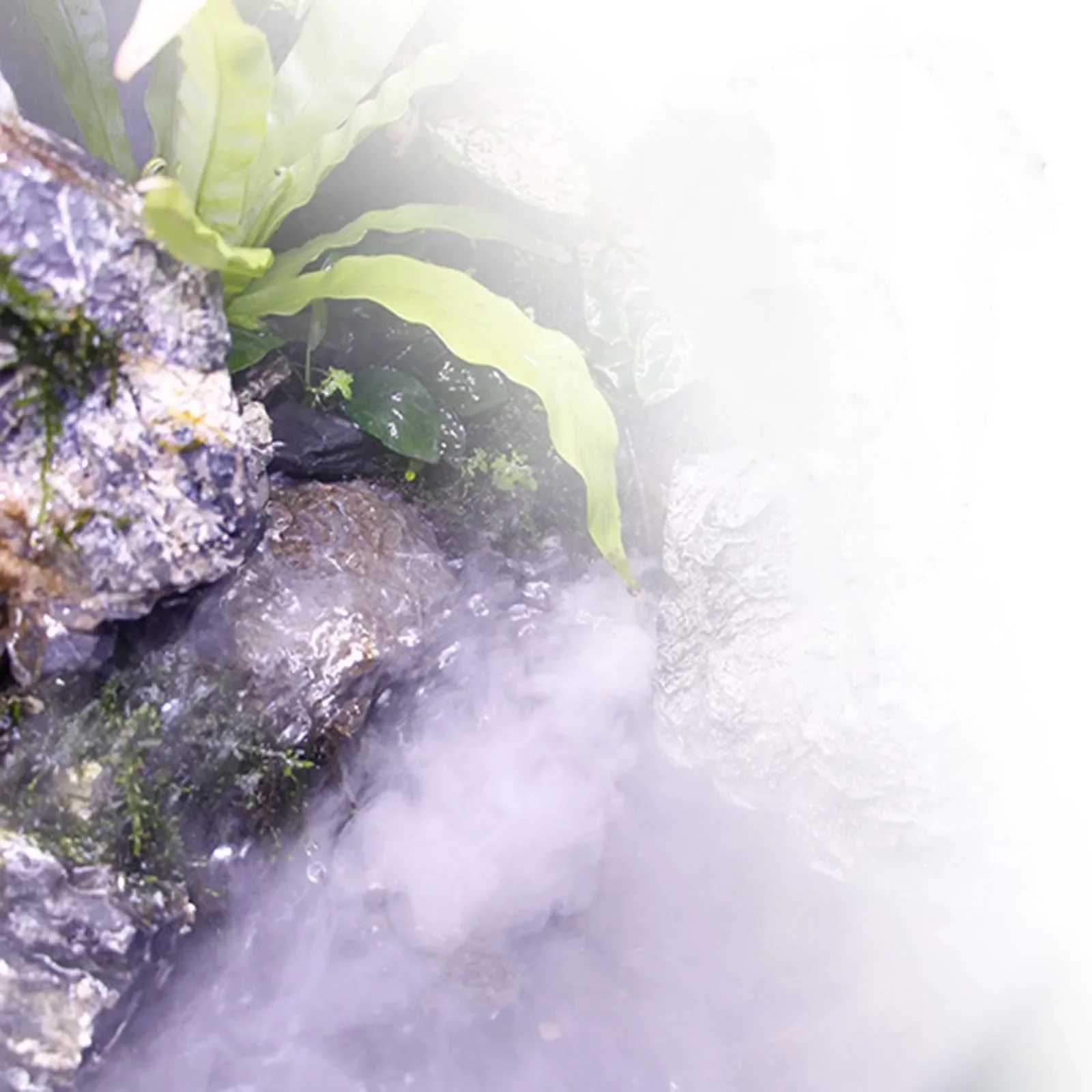 بخاخات حمام السباحة البستانية، ضوء ملون، رذاذ بالموجات فوق الصوتية، ضوء LED فلاش لتزيين الهالوين، نافورة الماء، مبيد البركة