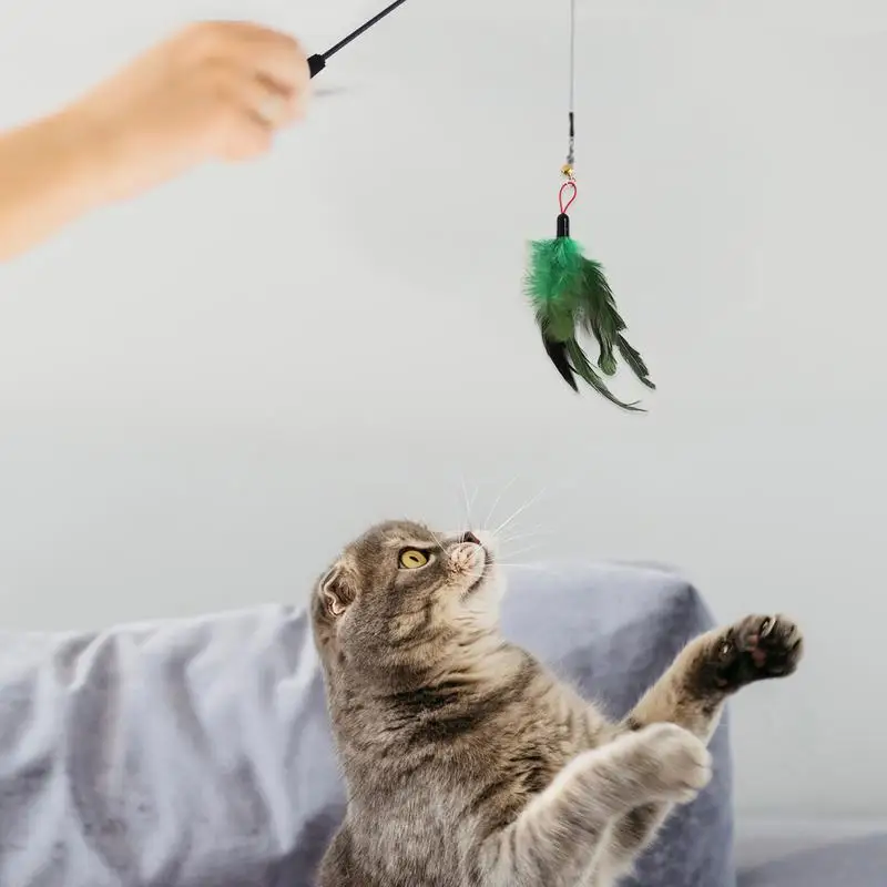 Искусственные игрушки, 8 шт., игрушечная палочка для кошек, искусственная игрушка, интерактивный Ловец, безвредное зеленое смешное упражнение для помещений