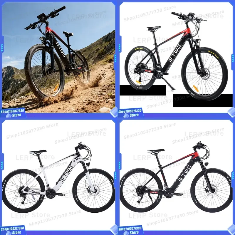 Hot Selling Long Range 500W Hub Motor Carbon Fiber Frame E-Bike for Beach Snow