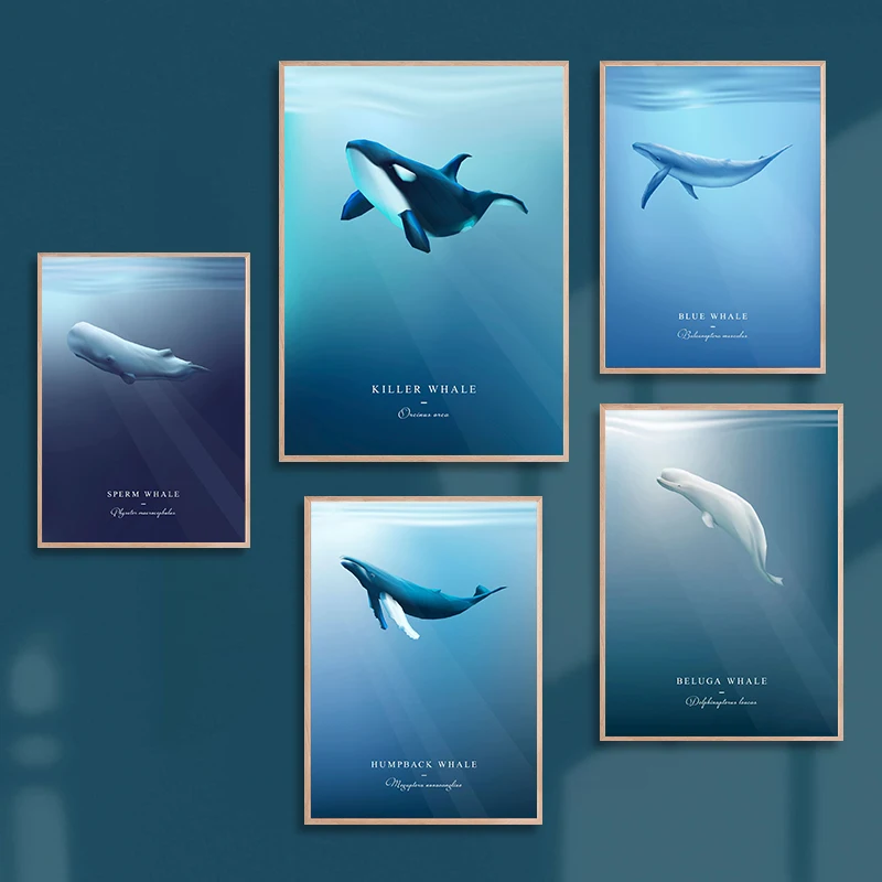 Whales Marine Life Posters Prints Beluga/Blue/Humpback/Sperm Whale Orca Wall Art Pictures Canvas Painting Living Room Home Decor