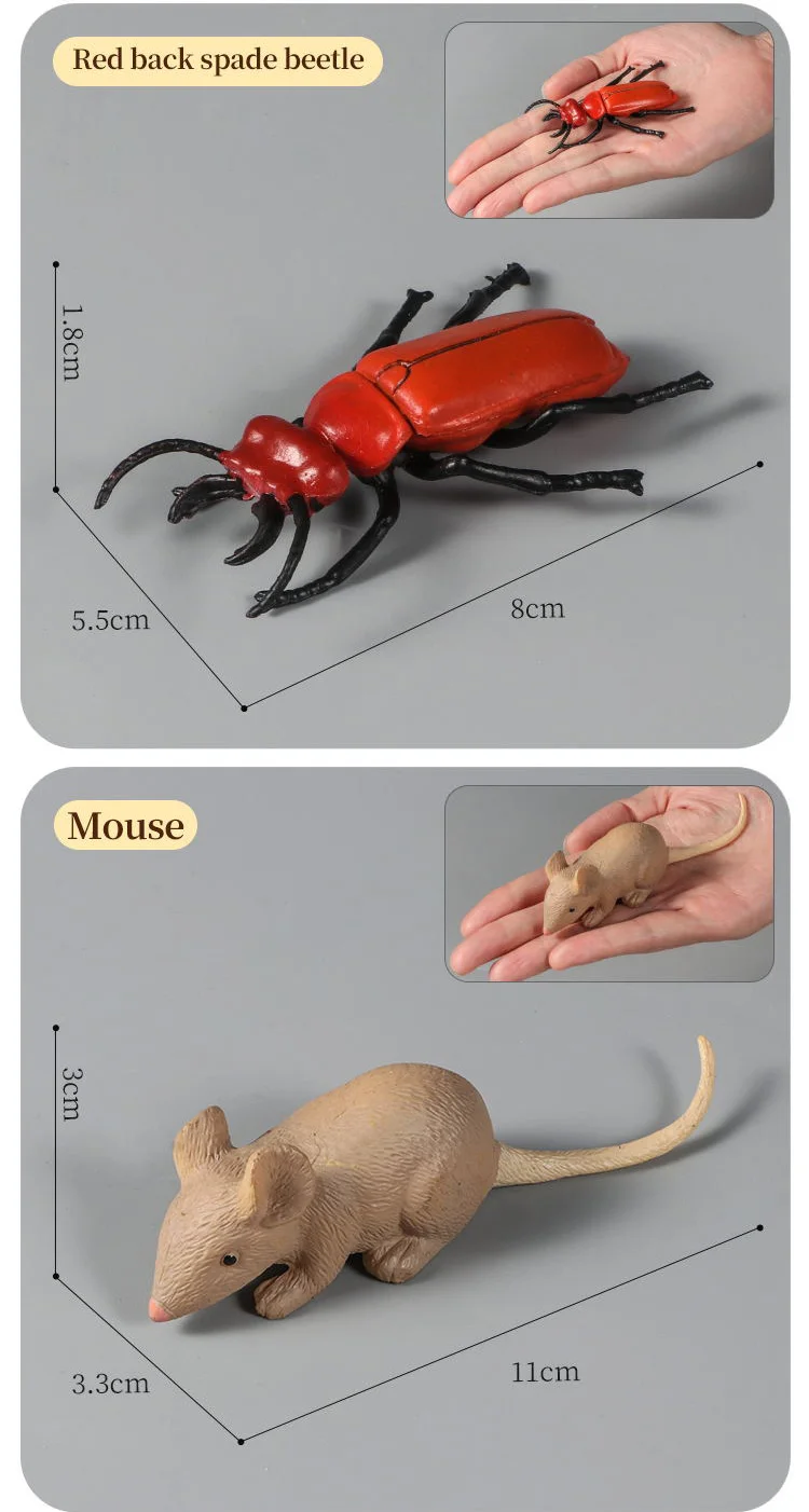 Pädagogisches Insekten-Tiere-Modell-Spielzeug-Set mit Schmetterling, Biene, Libelle, Mantis, Ameise, Schnecke, Actionfiguren für Kinder, Sammlung, Dekoration – Detail 21