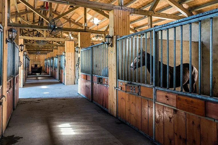 Casa de cavalo com estrutura de madeira e aço de bambu de melhor qualidade na China com relatório de inspeção de qualidade pátio de um cavalo