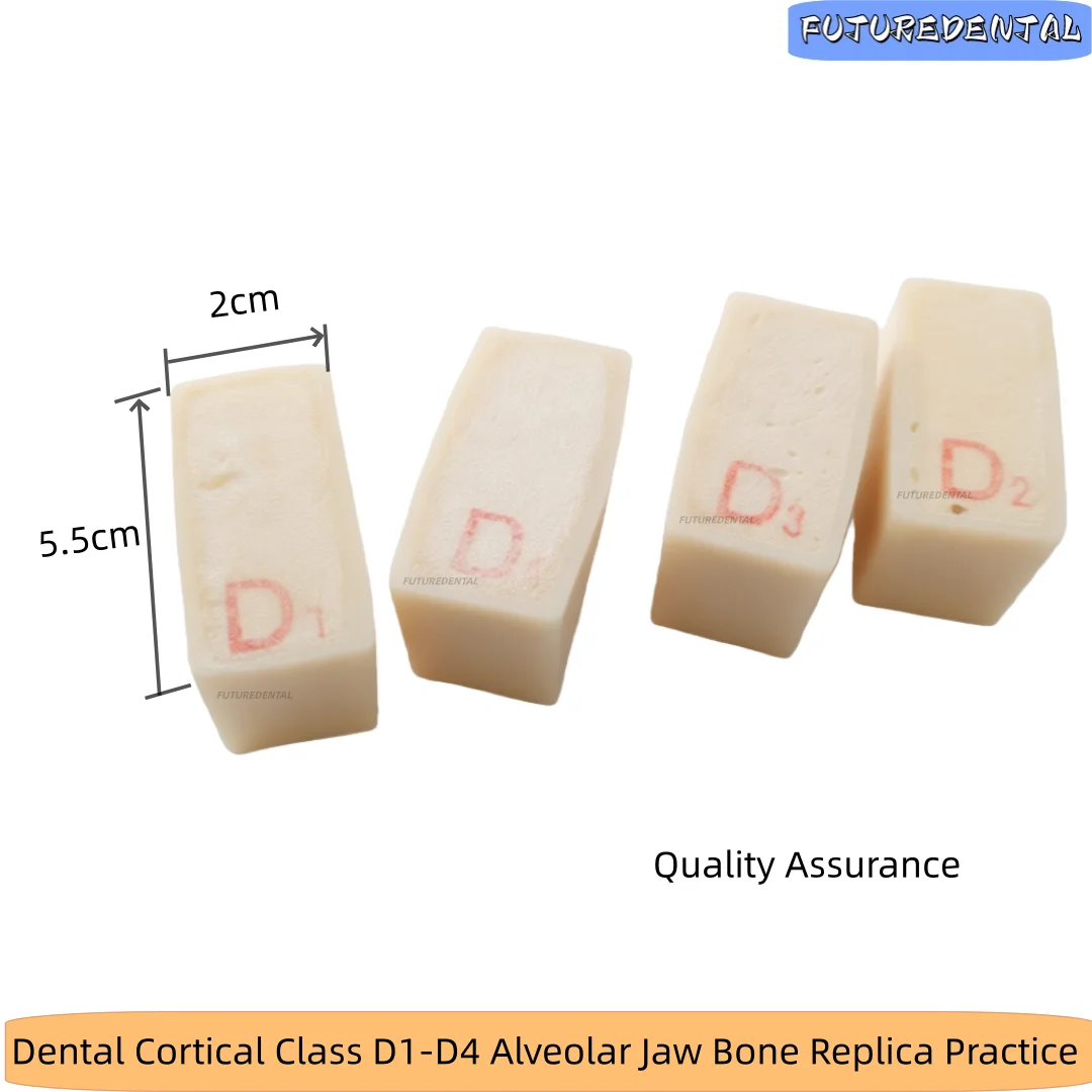 

Модели челюстной кости класса D1-4 для практики имплантации, реплика альвеолярной кости, полимерный блок для GBR-имплантации