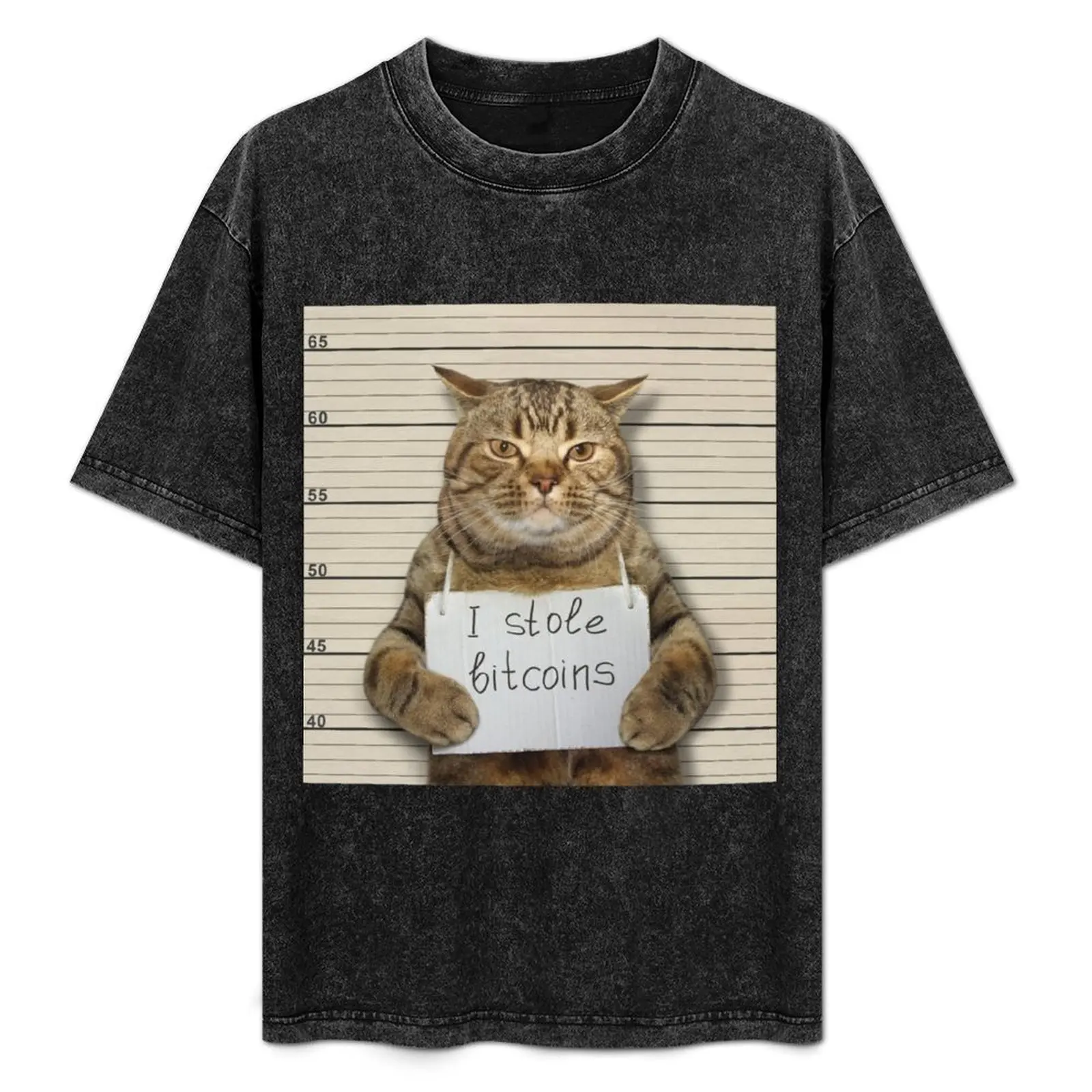 

I stole bitcoin T-Shirt oversizeds graphic shirts men clothing
