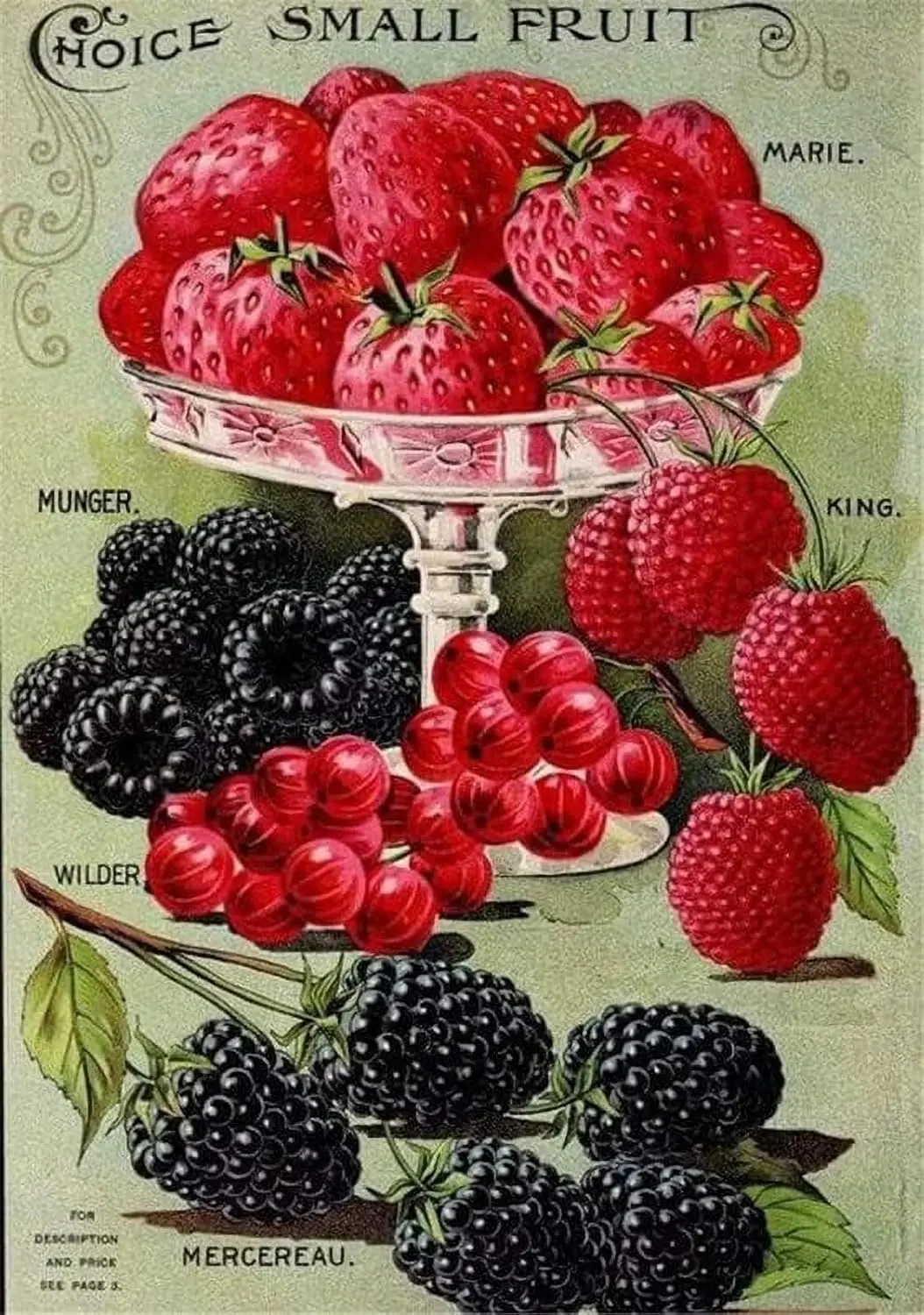 Vintage Chice Small Fruit Strawberry Blueberry Metal Tin Sign 8x12 inch Retro Home Kitchen Outdoor Garden Wall Decor Tin Metal P