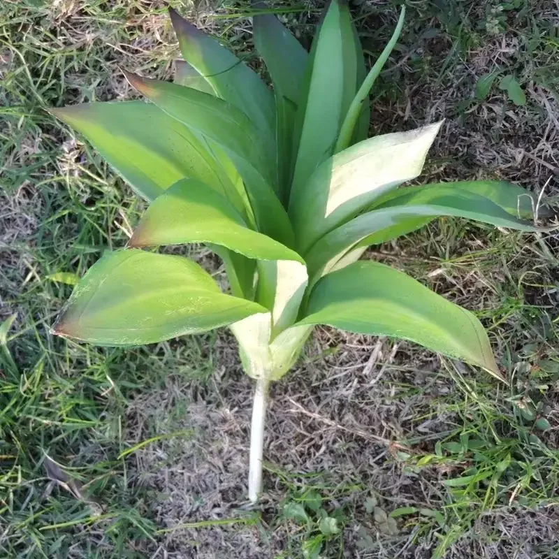 Planta de Agave Artificial de 21cm, follaje falso para decoración de fiesta en casa de boda interior y exterior