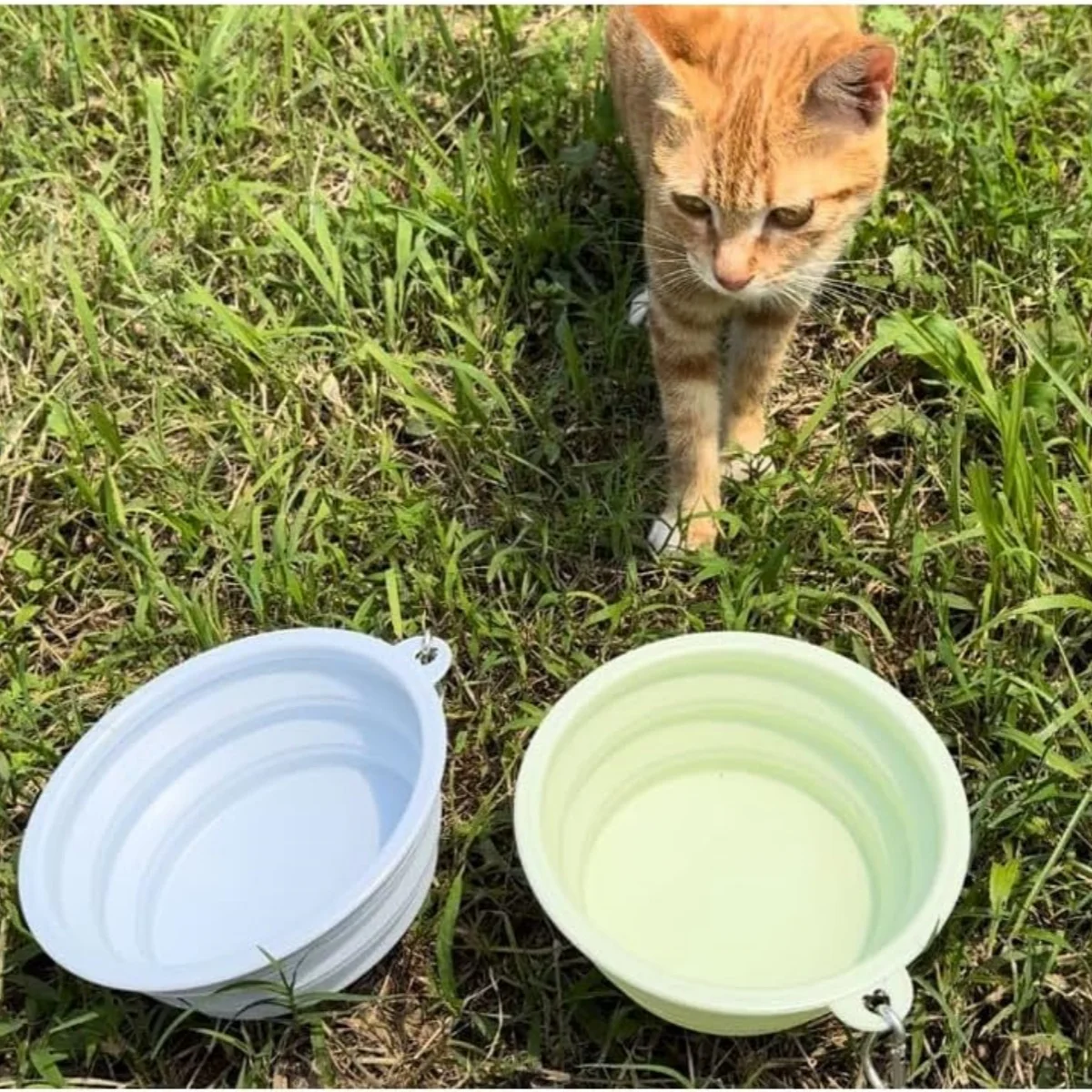Thumbnail 4 - #24 Cheapest Collapsible Dog Bowls Deals You Can Get