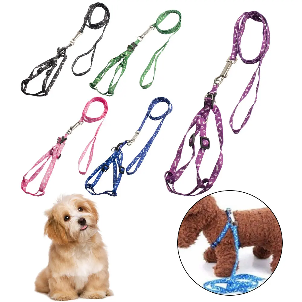 Small Pet Cat Puppy Kitten Rabbit Dog Harness Lead Leash Collar Same Day Post