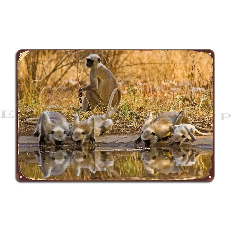 

Reflections Metal Plaque Poster Printing Garage Club Club Cinema Funny Tin Sign Poster